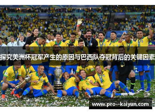 探究美洲杯冠军产生的原因与巴西队夺冠背后的关键因素