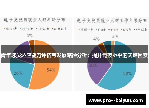 青年球员适应能力评估与发展路径分析：提升竞技水平的关键因素