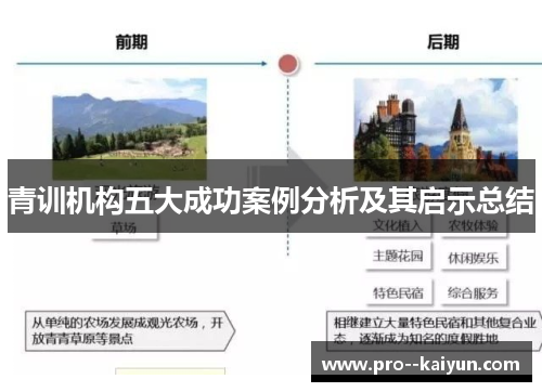 青训机构五大成功案例分析及其启示总结