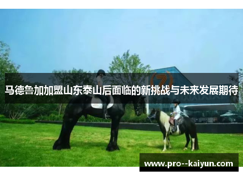 马德鲁加加盟山东泰山后面临的新挑战与未来发展期待 马德鲁加加盟山东泰山后面临的新挑战与未来发展期待