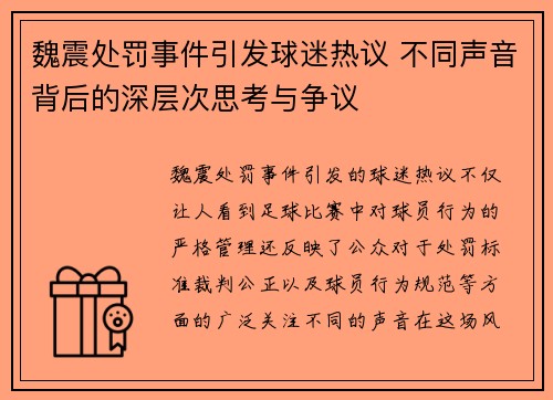 魏震处罚事件引发球迷热议 不同声音背后的深层次思考与争议