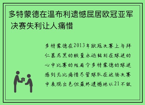 多特蒙德在温布利遗憾屈居欧冠亚军 决赛失利让人痛惜
