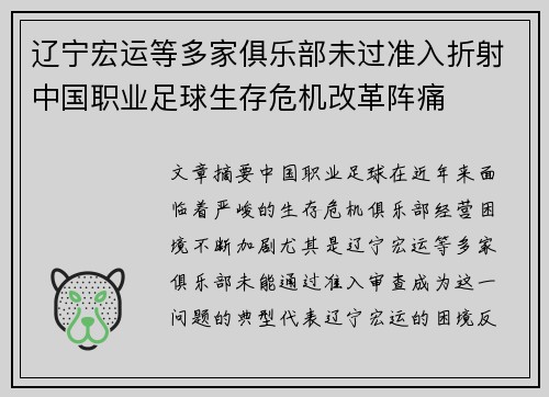 辽宁宏运等多家俱乐部未过准入折射中国职业足球生存危机改革阵痛 辽宁宏运等多家俱乐部未过准入折射中国职业足球生存危机改革阵痛