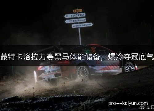 蒙特卡洛拉力赛黑马体能储备，爆冷夺冠底气