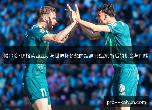 博尔哈·伊格莱西亚斯与世界杯梦想的距离 职业转折后的机会与门槛